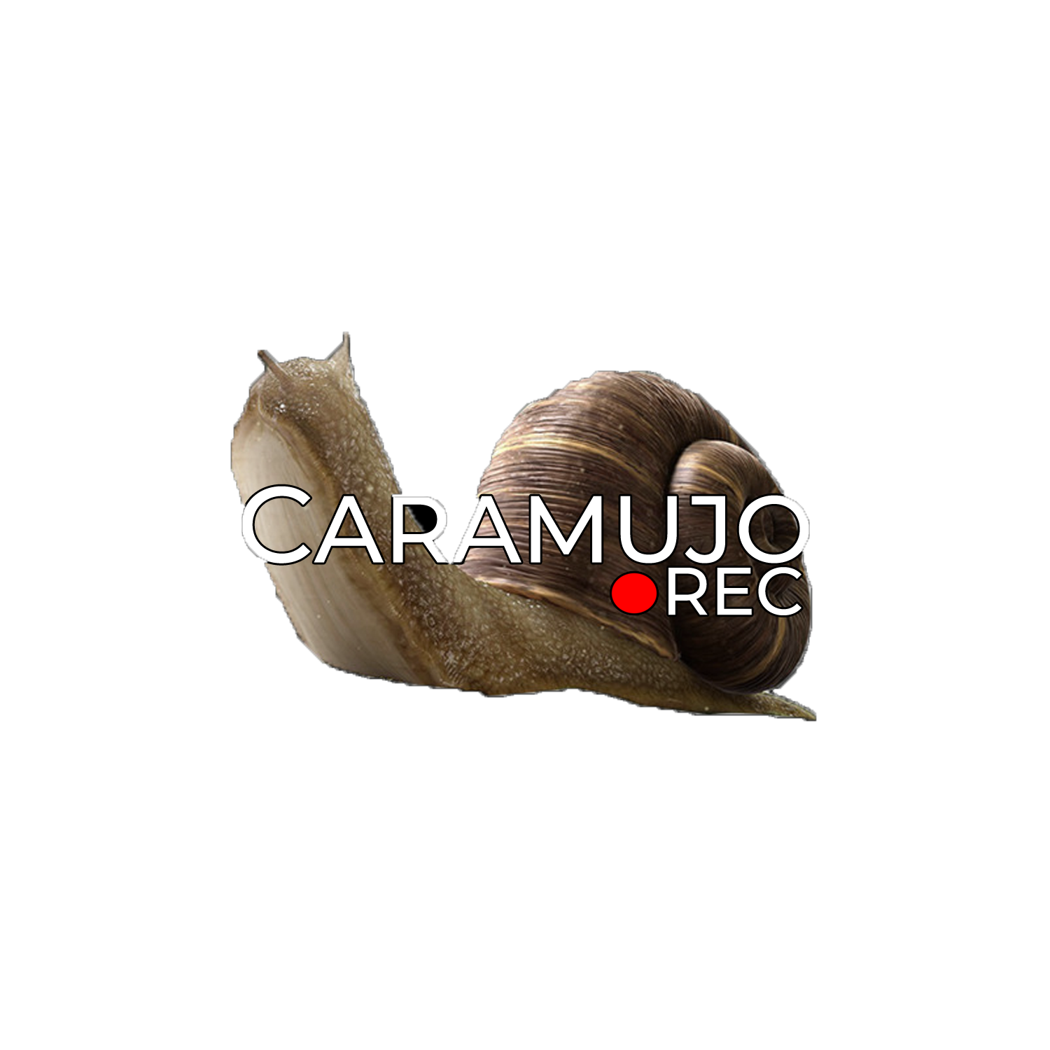 Caramujo Store